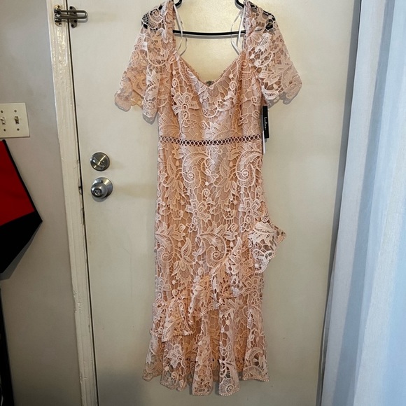 Lulus Briarwood Blush Pink Lace Ruffled
Midi Dress - Picture 5 of 8